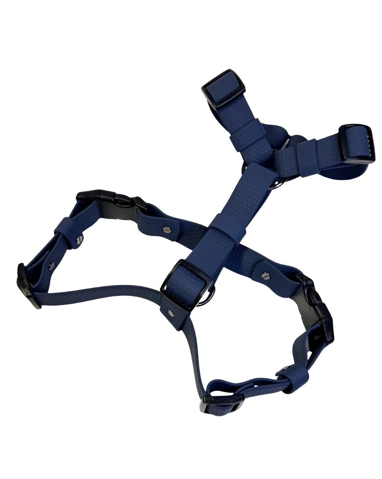 HEXA HARNESS-KEROSENE