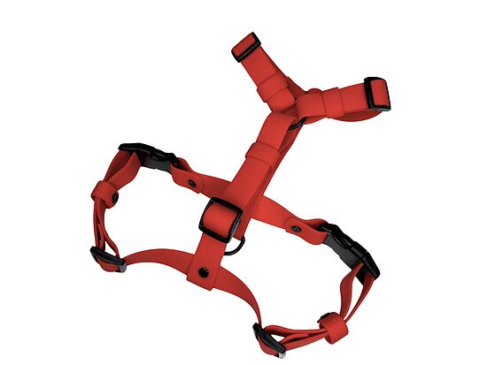 HEXA HARNESS-CANDY RED