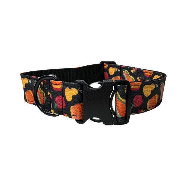 PUMPKIN SPICE COLLAR